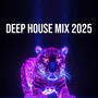 Deep House Mix 2025 (Explicit)