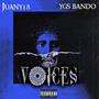 Voices (Explicit)