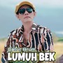 Lumuh Bek