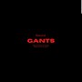 GANTS (Explicit)