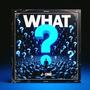 WHAT?! (feat. J- ONE)