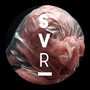 SVRSR022