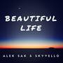 Beautiful Life