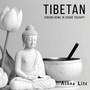 Tibetan Singing Bowl in Sound Therapy (Buddhism Harmony and Balance)