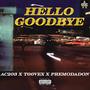 Hello Goodbye (feat. T00Vex & Premo Da Don) [Explicit]