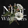 Wildflowers: Summer