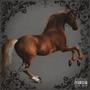 CAVALLO (Explicit)