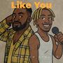 Like You (feat. Under G)
