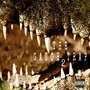 The Gator Trap 2 (Explicit)