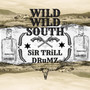 Wild Wild South (Explicit)