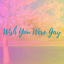 Wish You Were Gay (Cover)