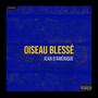 Oiseau blessé (Explicit)