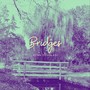 Bridges (Explicit)