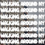 Walking Around New York (Explicit)