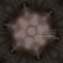 Wildness (Radio Edit)