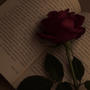 Your Memory (Explicit)