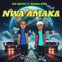 Nwa Amaka (feat. Bigmala999)