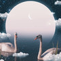The Pond People