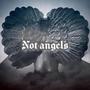 Not angels