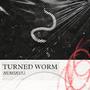 Turned Worm