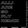 ALLI ARE SO FLY (Remix) [Explicit]