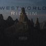 Westworld Riddim (Explicit)