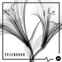 Splendour