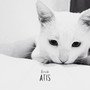Querido Atis (Explicit)