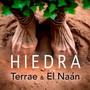 Hiedra