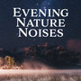 Evening Nature Noises: Best Nature Sounds with Piano Melodies for Total Relax, Therapy Music, Stress Relief, Peace & Harmony, Perfect Nights with New Age Songs