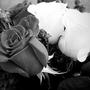 Thug Love (Explicit)