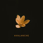 Avalanche