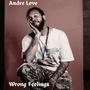 Wrong Feelings (Explicit)