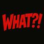 WHAT (feat. Alexandre Campos, BabyWalk, YoLino, The Ricky & Midnight Commander) [Explicit]