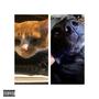 CAT DOG (Explicit)