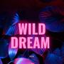 Wild dream (Pop Version ) [Explicit]