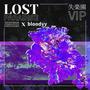 lost paradise (VIP Mix)