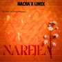 Narejea