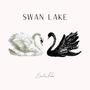Swan Lake Theme (from Swan Lake) (Piano Version)