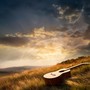 Leafy Tunes: Acoustic Guitar with Rustling Leaves