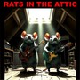 Rats In The Attic