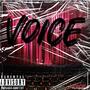 Voice (Explicit)