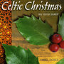 Celtic Christmas - An Irish Harp