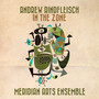 RINDFLEISCH, A.: In the Zone (Meridian Arts Ensemble)