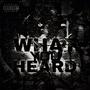 WHAT YOU HEARD (Explicit)