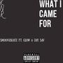 What I Came for (feat. Glo & Jay Sav) [Explicit]