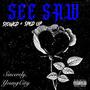 See Saw (Slowed + Sped Up) [Explicit]