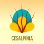 CESALPINIA