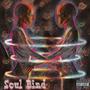 Soul Bind (Explicit)