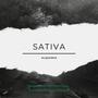 Sativa